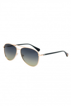 Sunglasses FD 2503